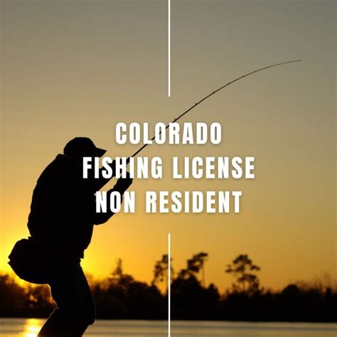 colorado fishing license non resident online